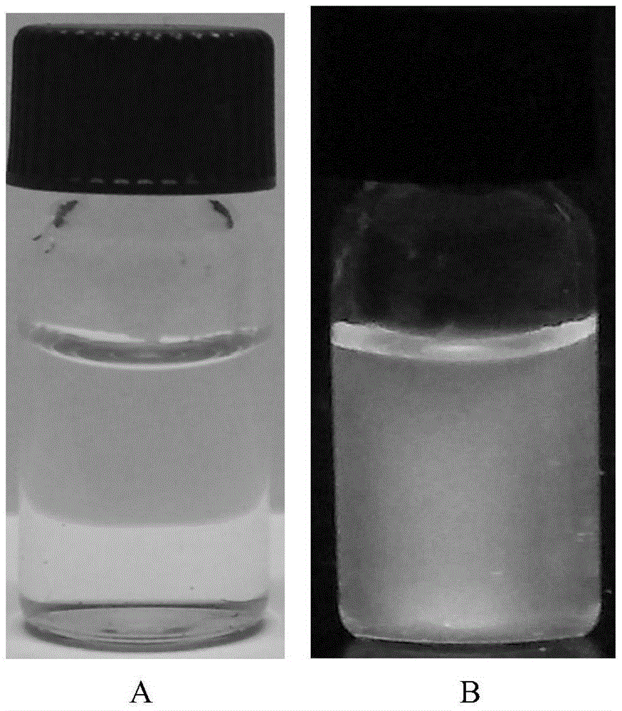Sulfur-doping graphene quantum dot, preparation method of sulfur-doping graphene quantum dot and application of silver ion detection
