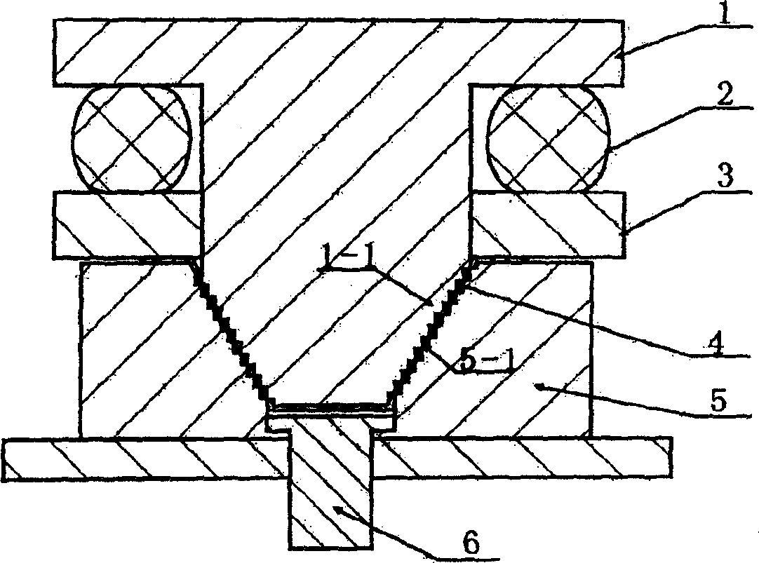 Screw electromagnetic coil disk and its producing method