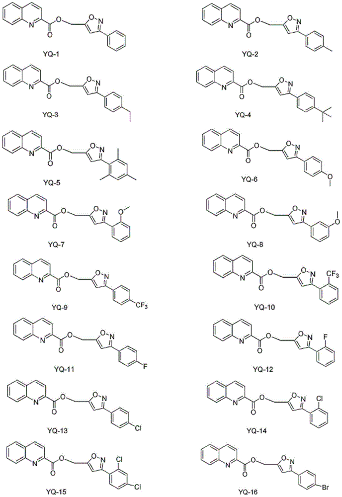 Quinoline derivatives, their preparation and use
