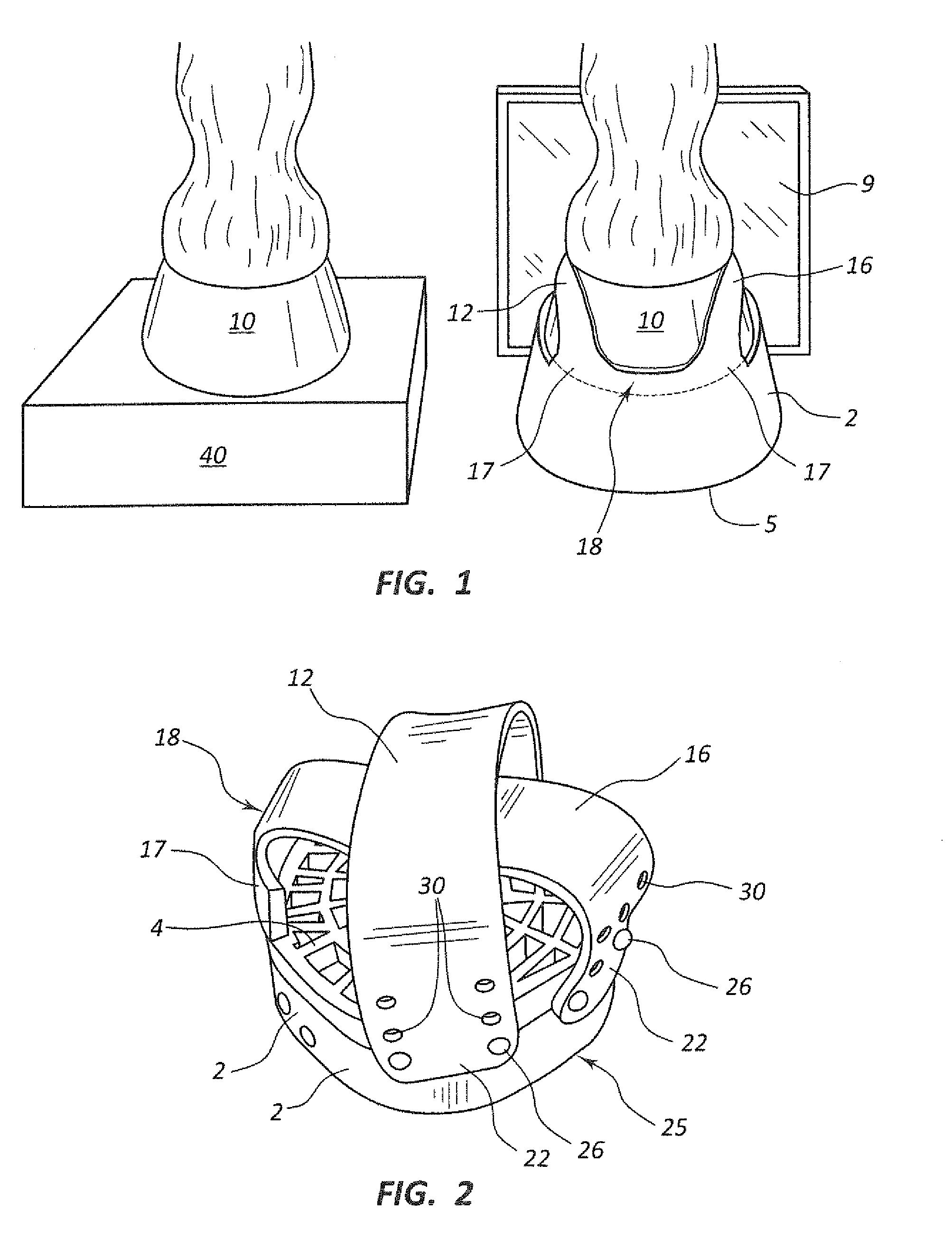 Method And Apparatus For Positioning A Horse's Foot For Radiographic Examination