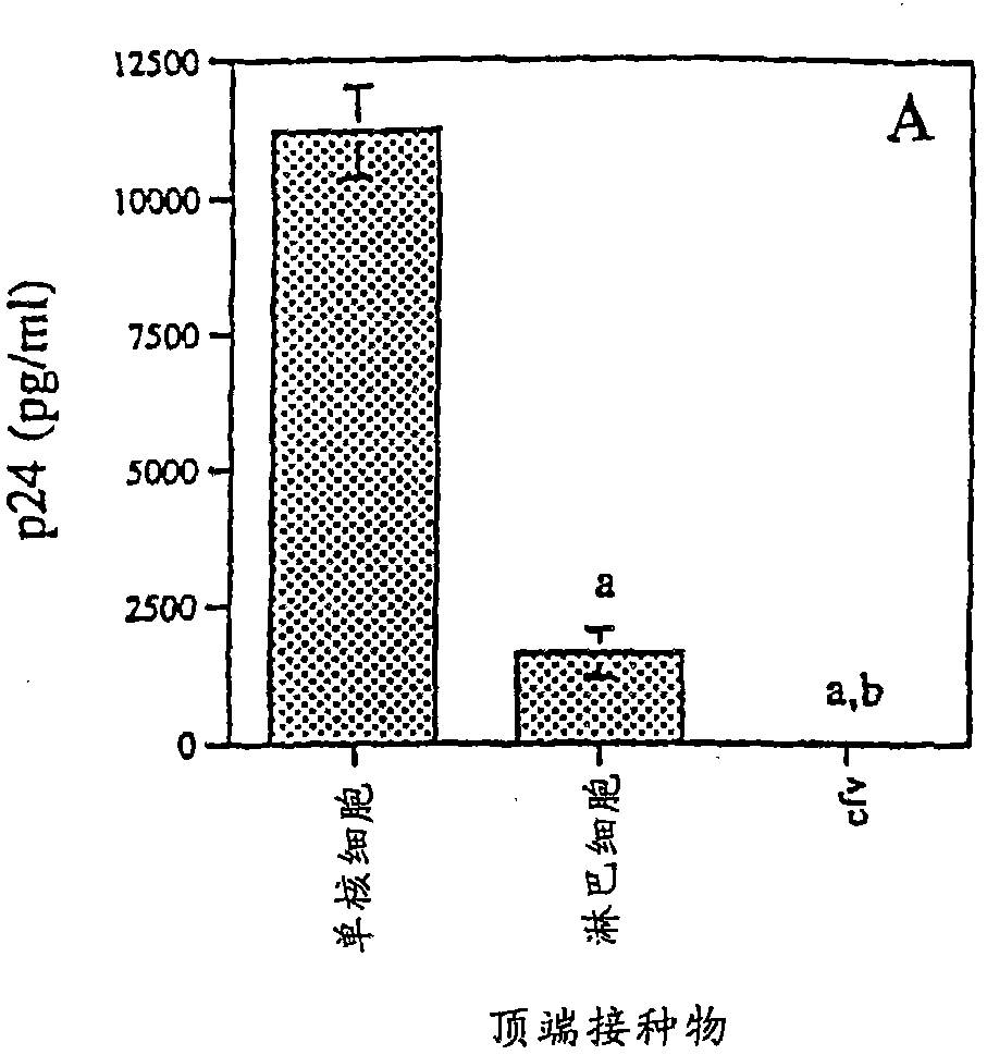 Compositions and methods for preventing transepithelial transmission of hiv