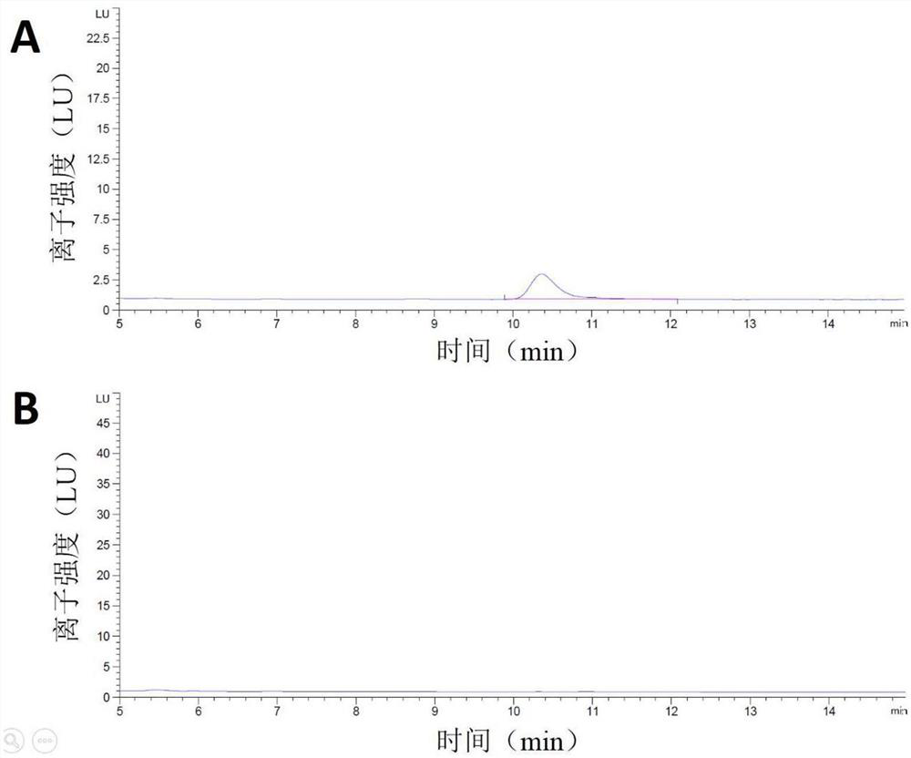 A kind of amine oxidase acao, preparation method and application