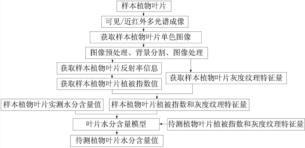 Detection method and system of water content in plant leaf based on multispectral image