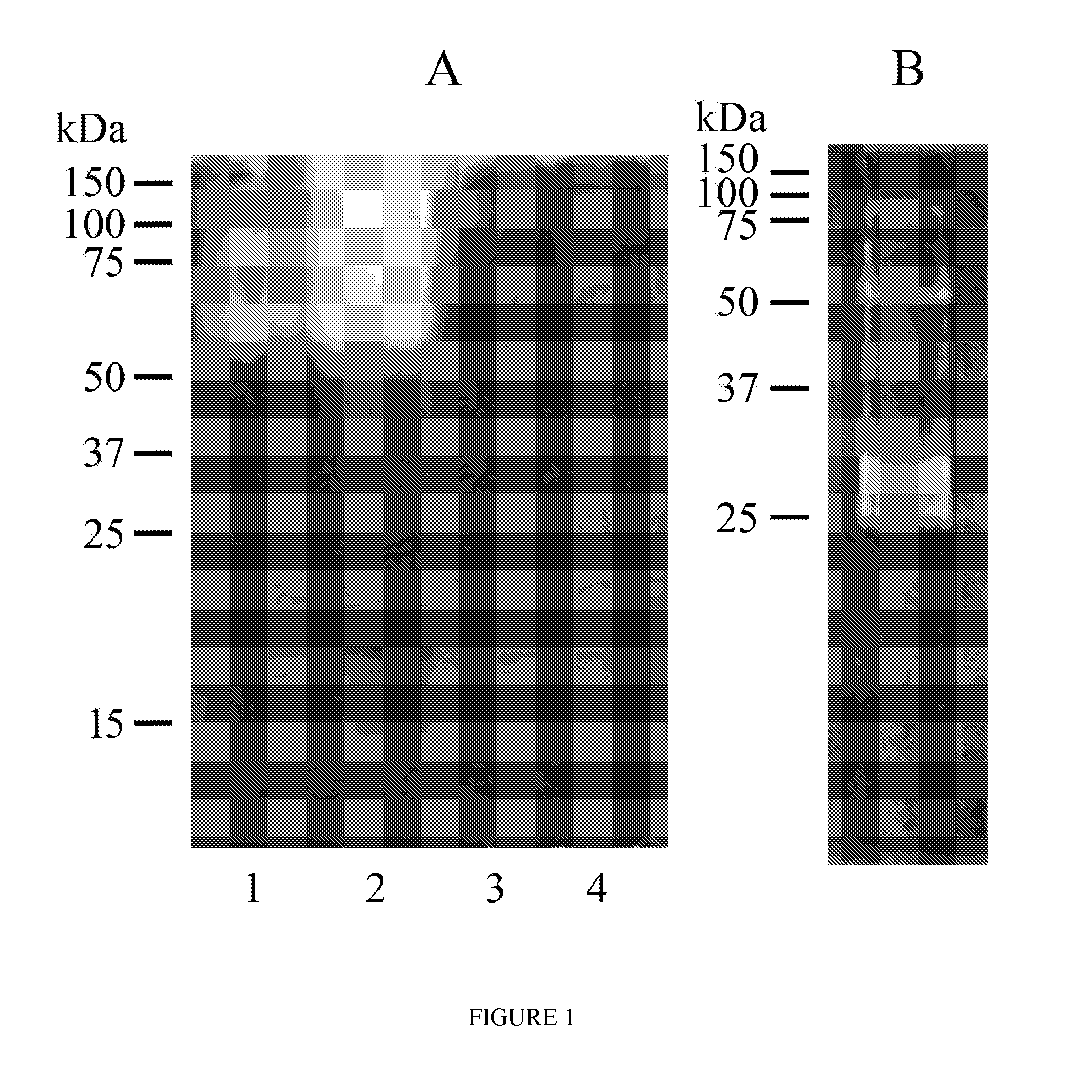 Compositions and Methods for Controlling Infestation