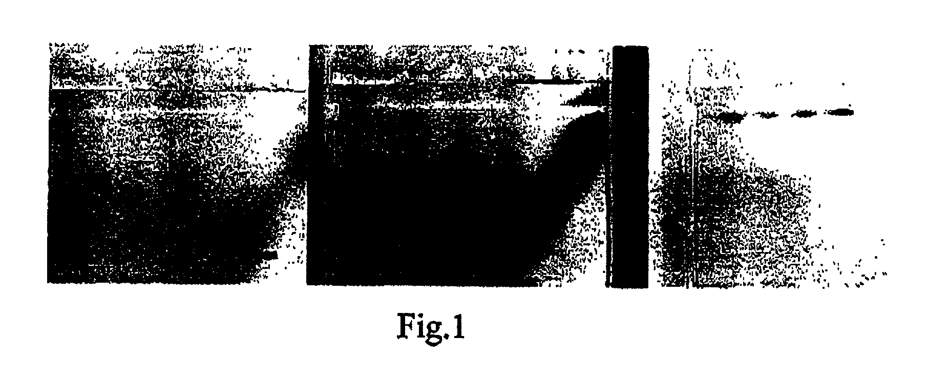 Methods and apparatus for nonlinear mobility electrophoresis separation