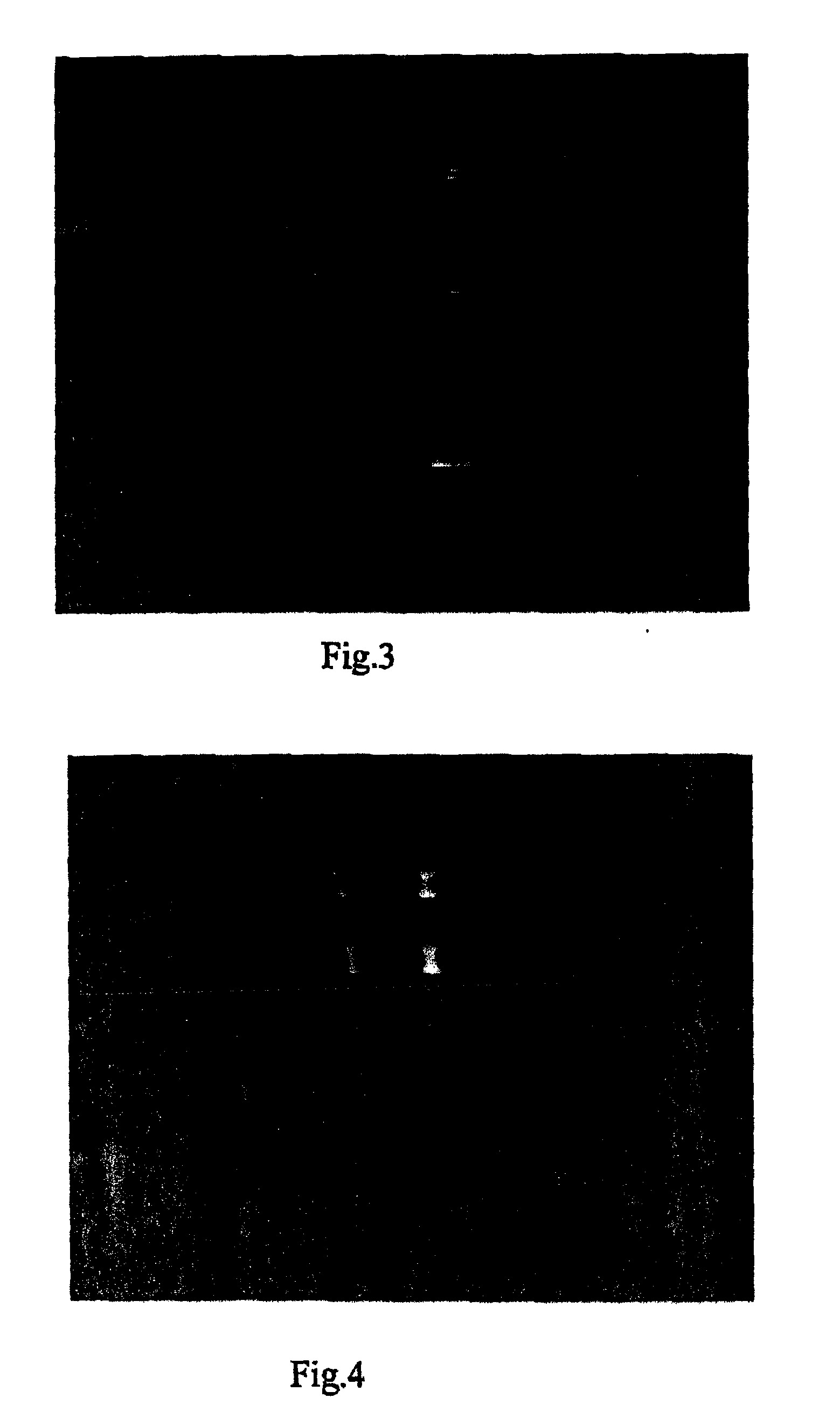 Methods and apparatus for nonlinear mobility electrophoresis separation