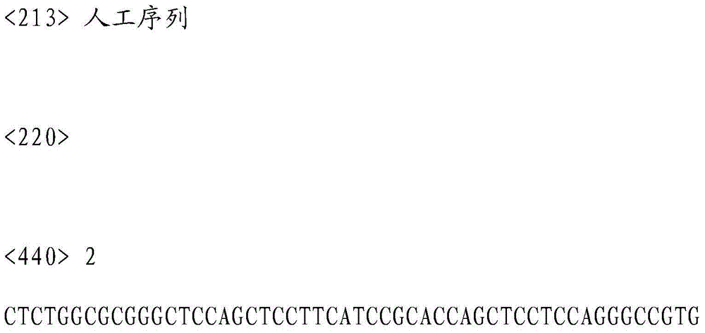 SNP in KRT8 gene exon area and determination method thereof