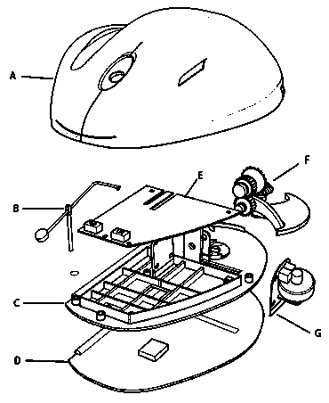 Mouse design based on ergonomics