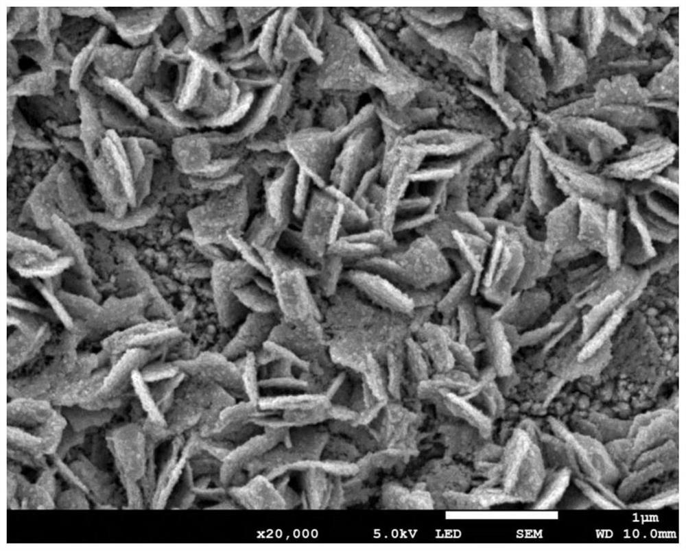 Copper-based current collector for inducing preferential transverse deposition of lithium metal negative electrode as well as preparation method and application of copper-based current collector