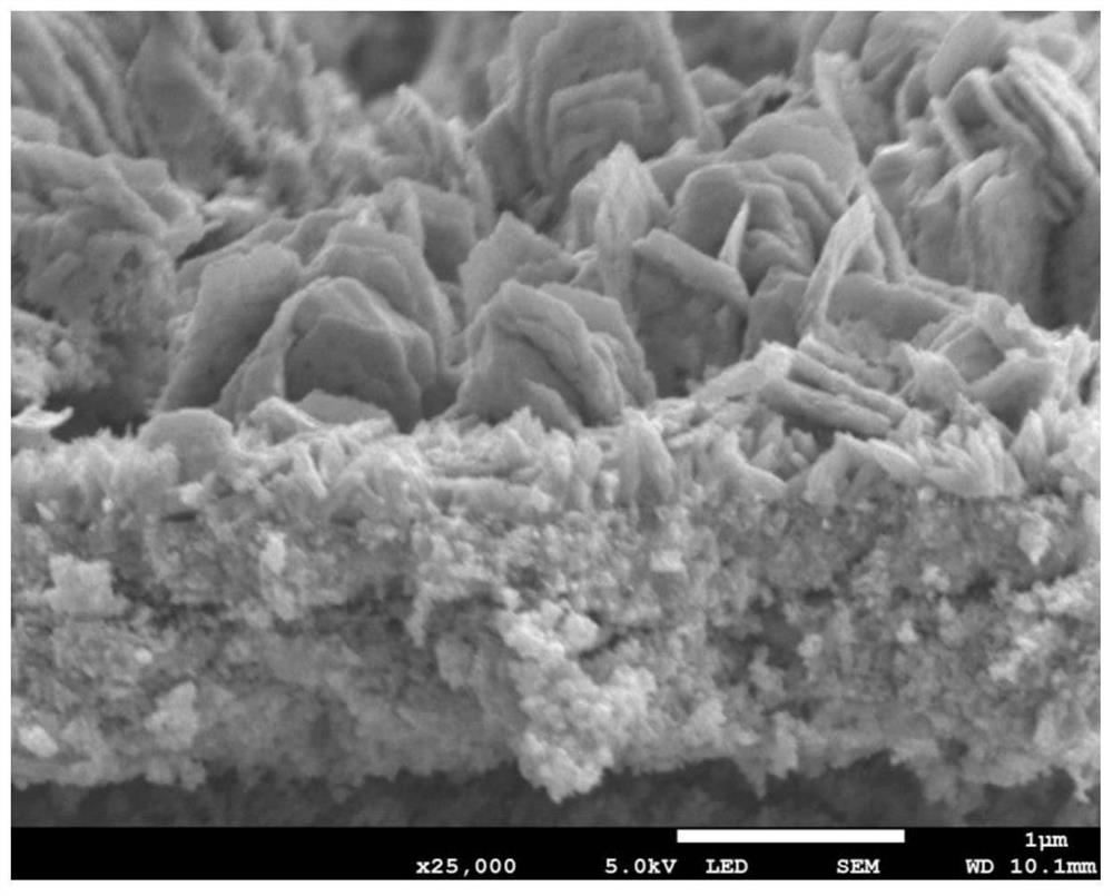 Copper-based current collector for inducing preferential transverse deposition of lithium metal negative electrode as well as preparation method and application of copper-based current collector