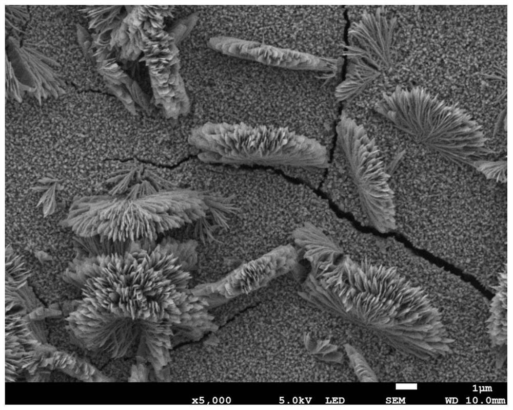 Copper-based current collector for inducing preferential transverse deposition of lithium metal negative electrode as well as preparation method and application of copper-based current collector