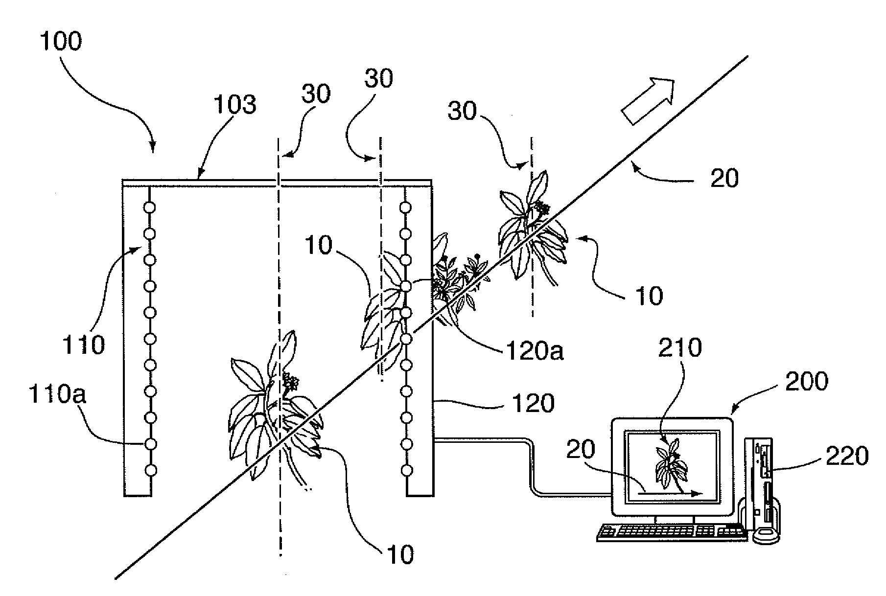 Sensor system, method, and computer program product for plant phenotype measurement in agricultural environments