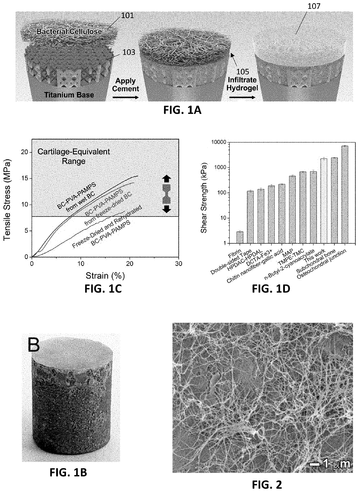 Nanofiber reinforcement of attached hydrogels