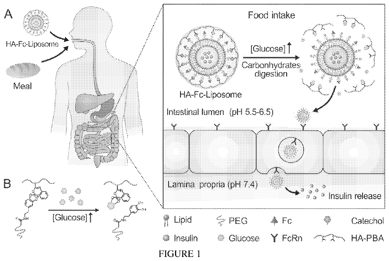 Glucose sensitive compositions for drug delivery