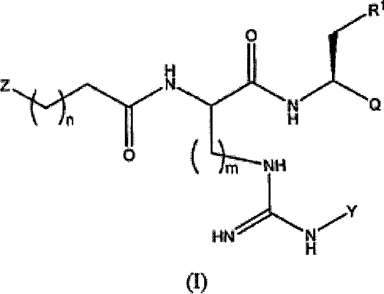 Proteasome inhibitors and methods of using the same