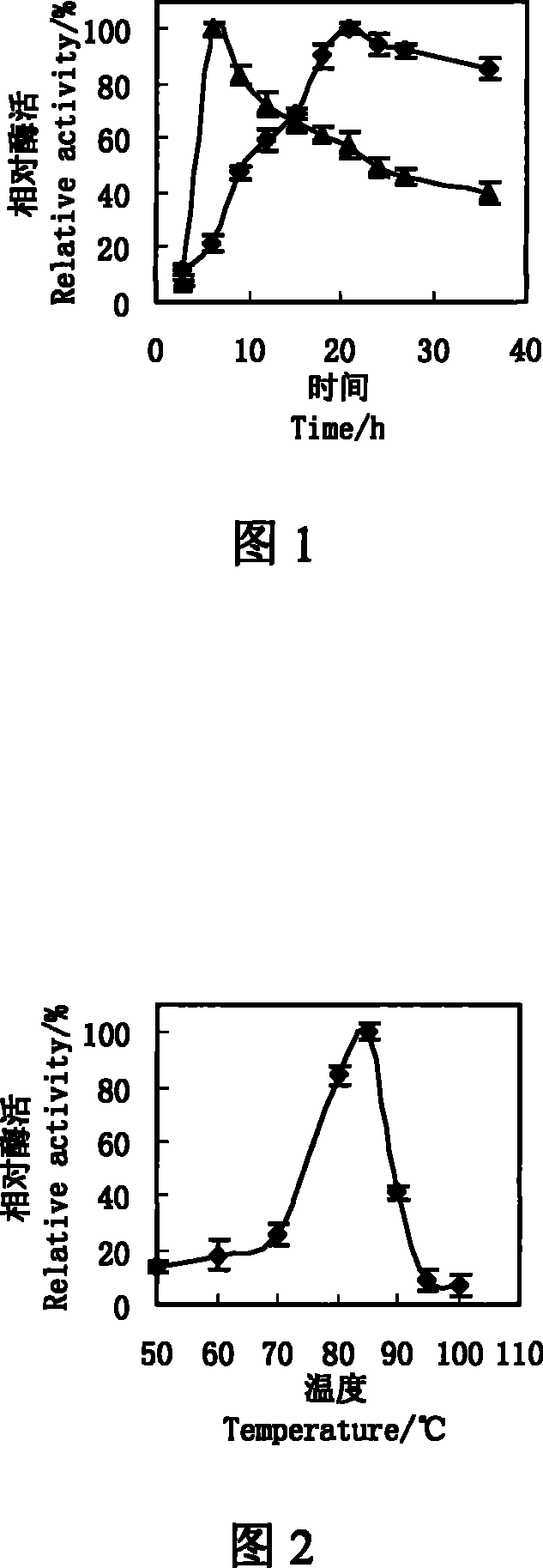 Pyrococcus produced high temperature alpha-glucosidase and enzyme producing method thereof