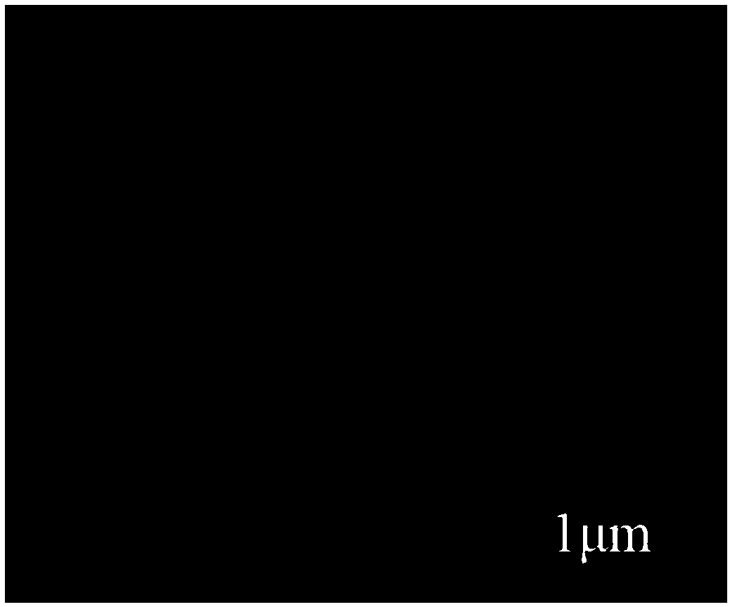 Preparation method of nickel phosphide microsphere with multilevel structure