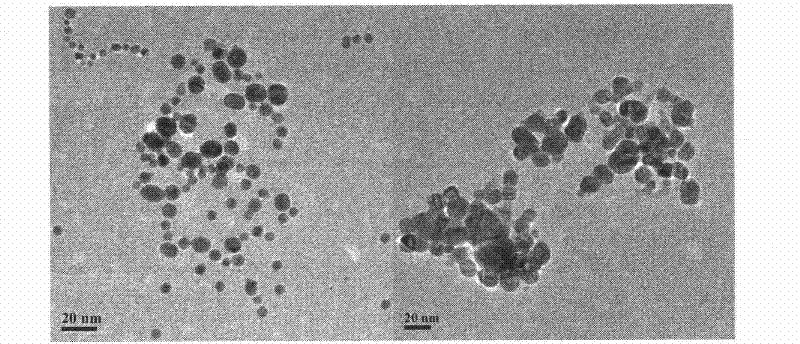 Synthetic method of precious metal nanometer optical probe for high-sensitivity and high-selectivity thiourea detection