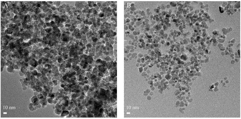 Composition, preparation and application of magnetic liposome vesicles