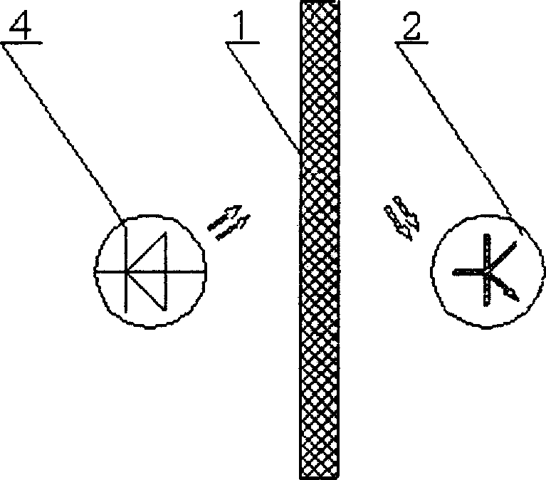 Synchronous analyzer for detecting signal of blood stream from nystagmus image and ear ending