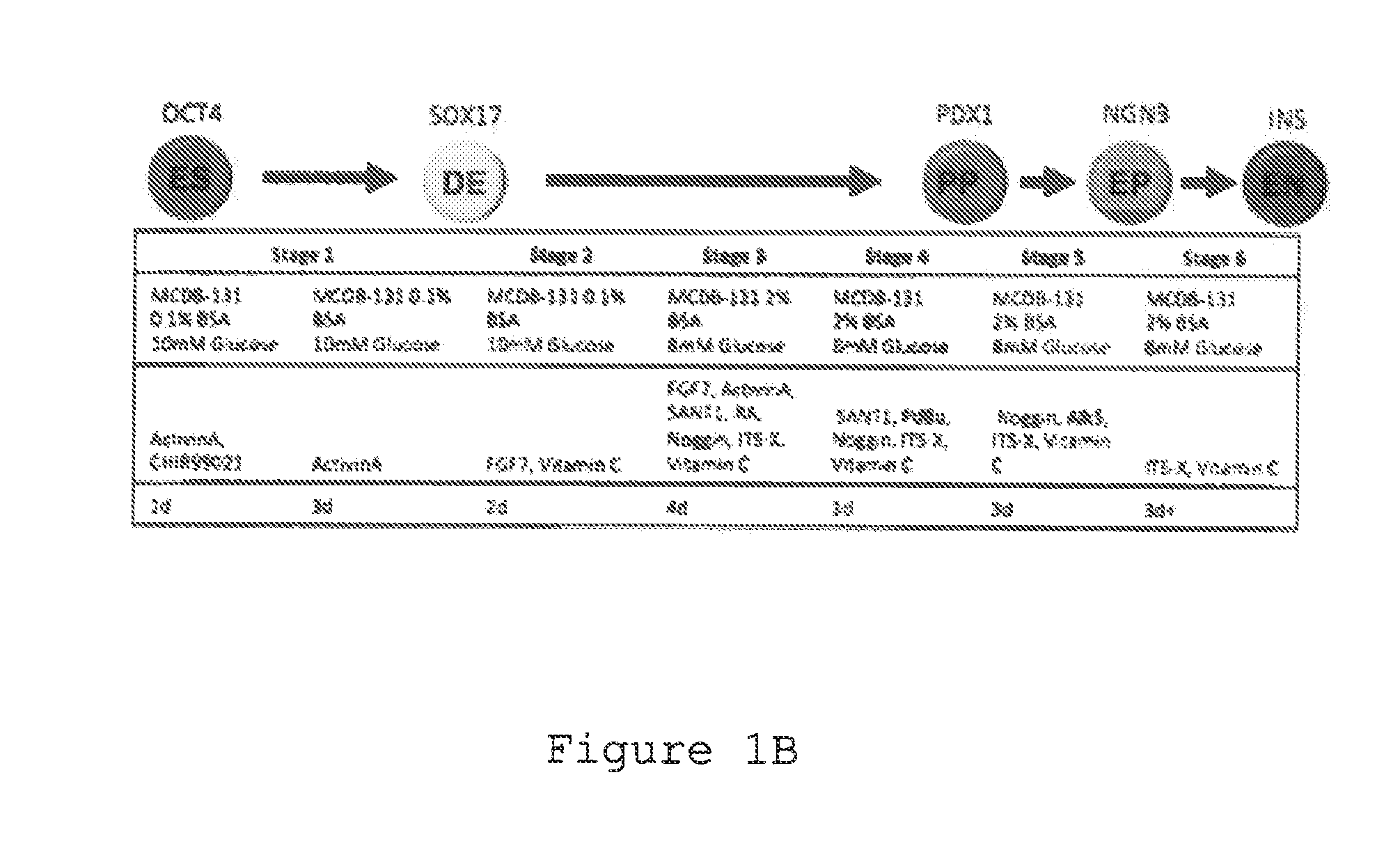 Markers for mature beta-cells and methods of using the same