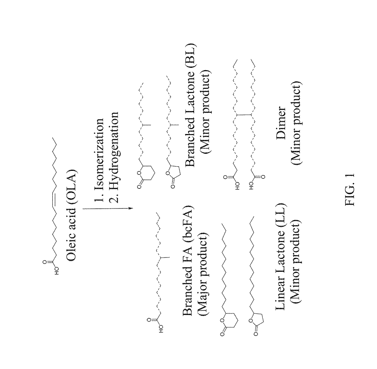 Saturated branched chain fatty acid production method