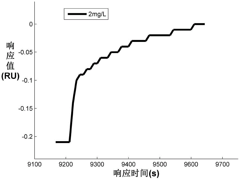 Surface plasmon resonance biochip and its preparation method and application