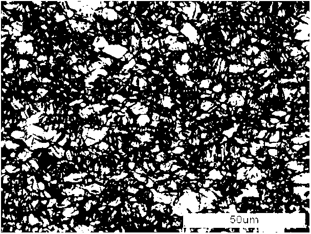 High-yield processing method of ultra-fine crystal magnesium alloy thin plate