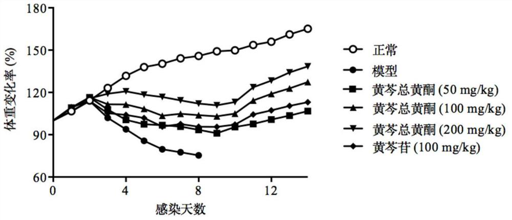 High-purity total flavonoids of Scutellaria baicalensis and its preparation method and medicinal use