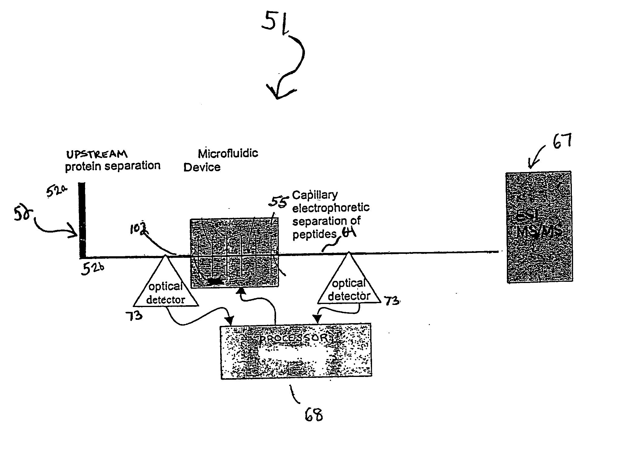 Apparatus and method for Edman degradation on a microfluidic device utilizing an electroosmotic flow pump