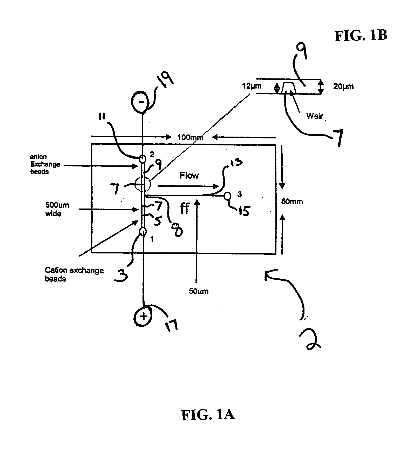 Apparatus and method for Edman degradation on a microfluidic device utilizing an electroosmotic flow pump