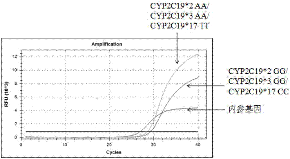 Composition for detecting CYP2C19 gene polymorphism and its application
