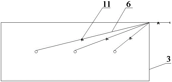 Fresh keeping and storing method for Chinese rose seedlings