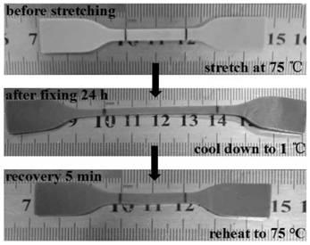 A preparation method of shape memory polymer material based on thermoplastic vulcanizate