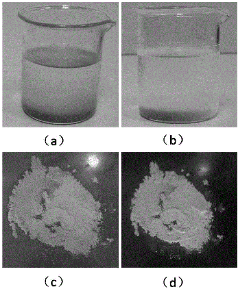 Rapid preparation method of inorganic compound coated aqueous phase II-VI group quantum dot composite material