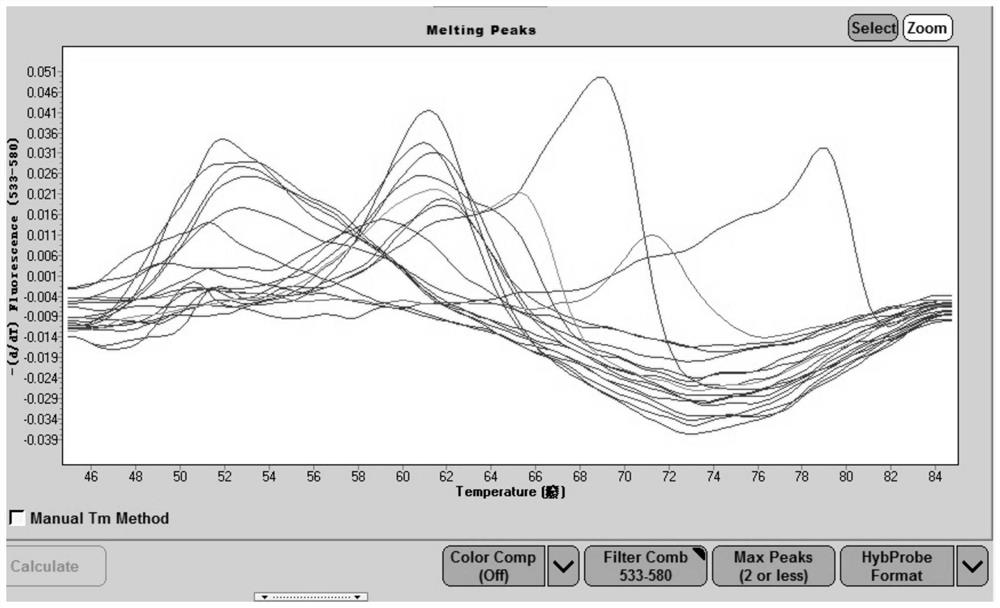 A kit for identifying bacteria using molecular beacon-melting curve technology and its application