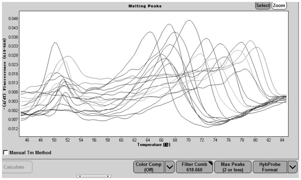 A kit for identifying bacteria using molecular beacon-melting curve technology and its application