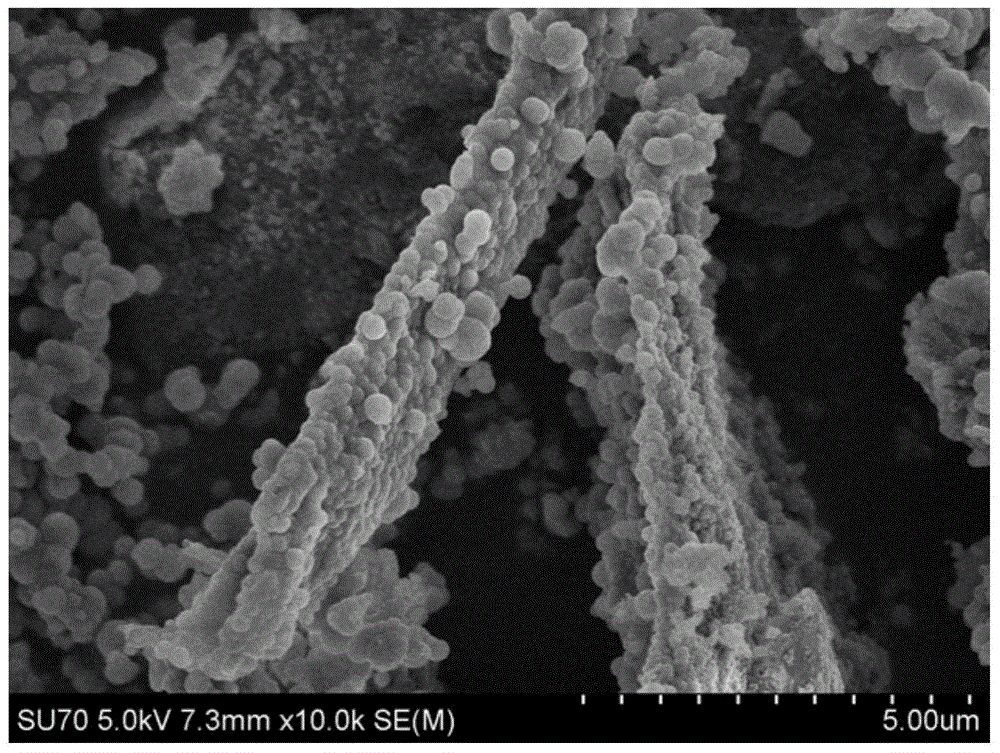 Preparation method and application of nano fiber molecularly-imprinted polymer of tetracycline antibiotics