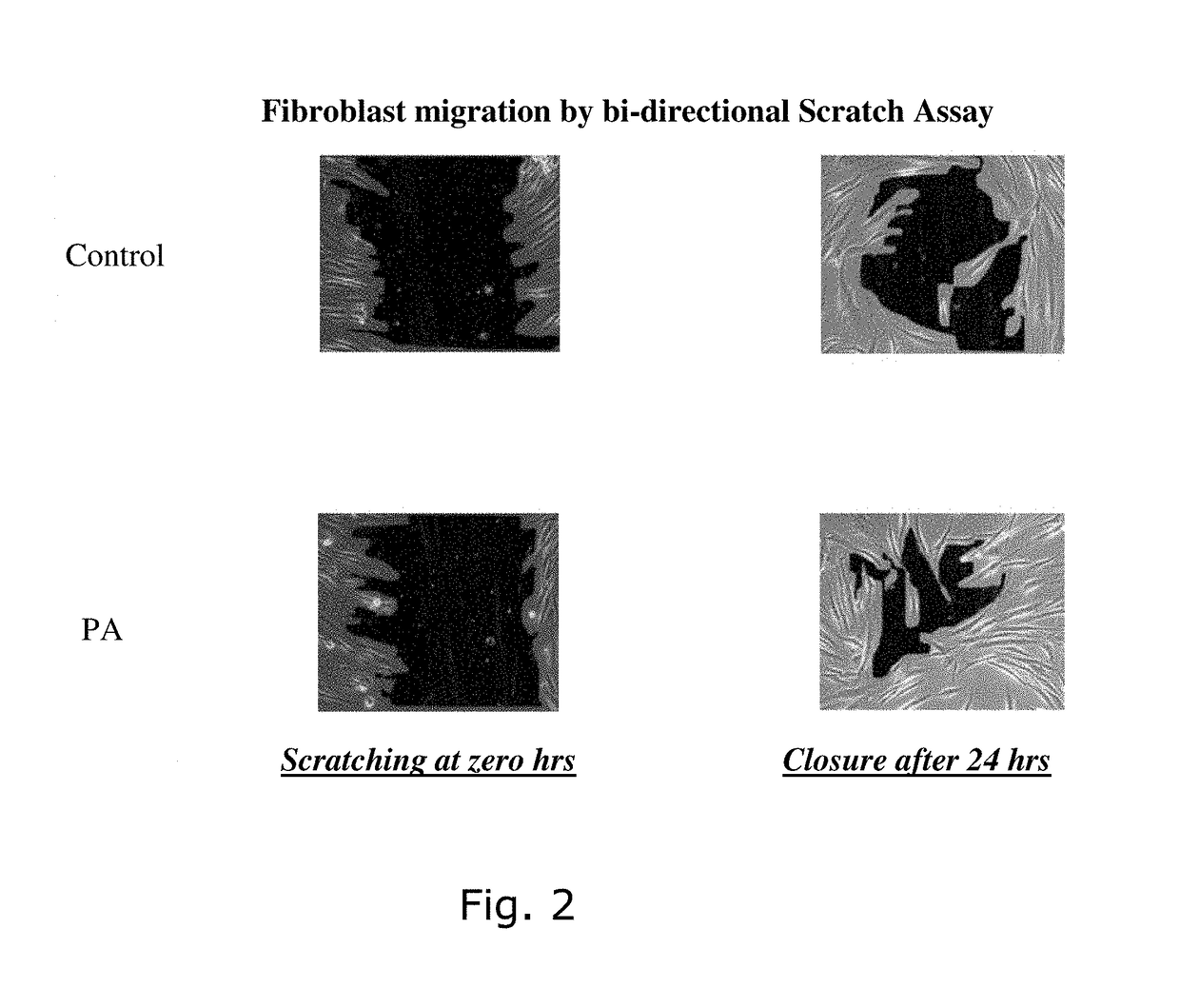 3-(4-hydroxyphenyl) propanoic acid amide for use in tissue repair and/or skin brightening