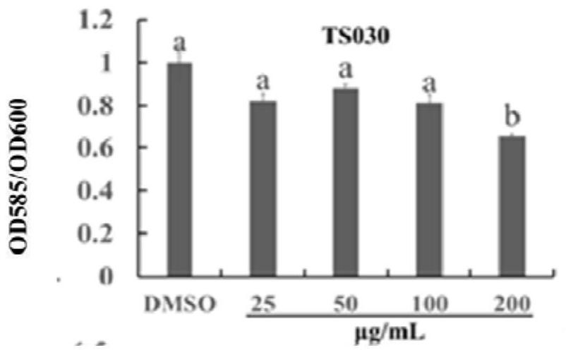 Methyl cinnamate is used as quorum sensing inhibitor and application of methyl cinnamate in treatment of bacterial diseases