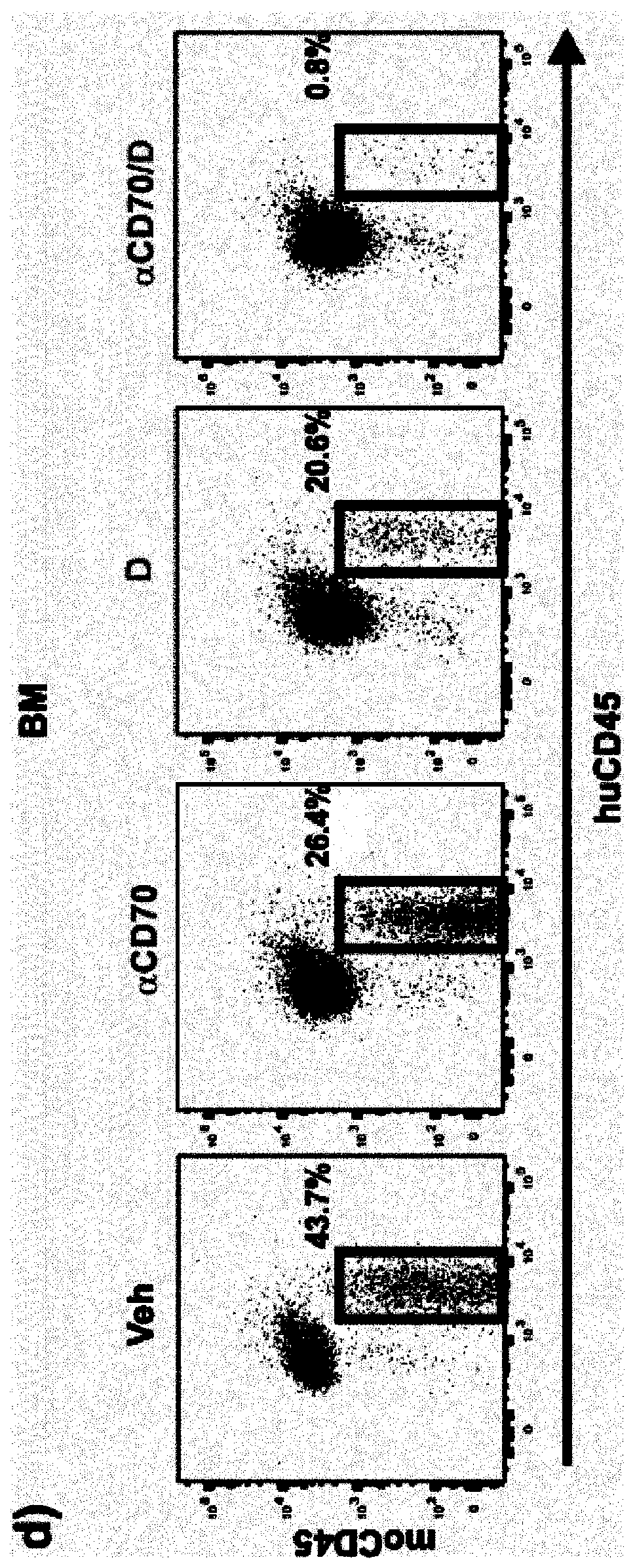 Use of anti cd70 antibody argx-110 to treat acute myeloid leukaemia