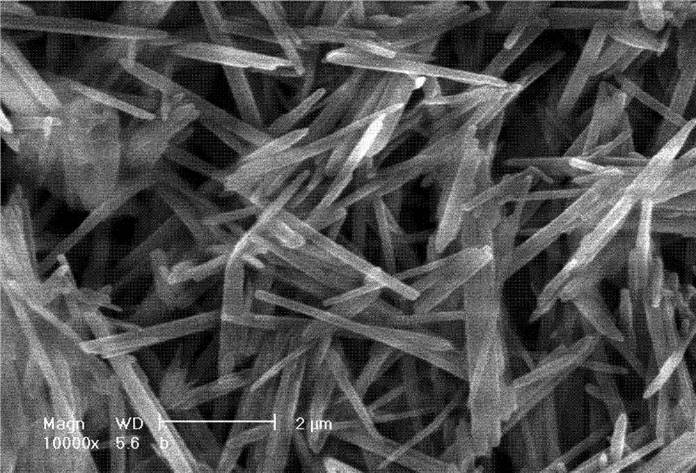 Method of preparing basic magnesium borate crystal whiskers