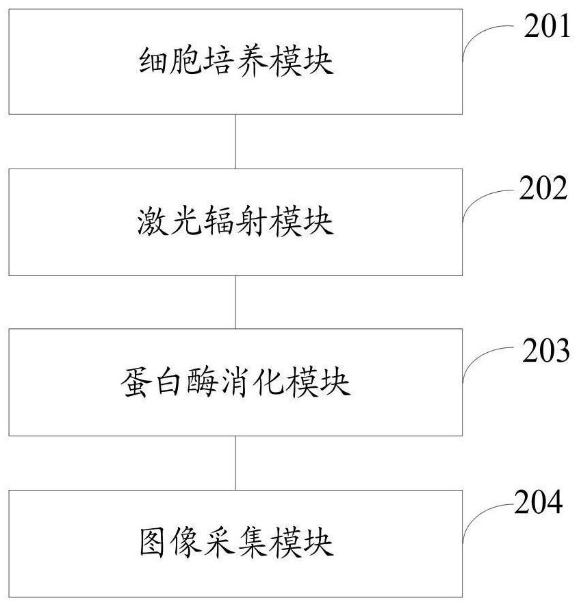 Non-invasive cell patterning method and system based on digitally controlled laser radiation