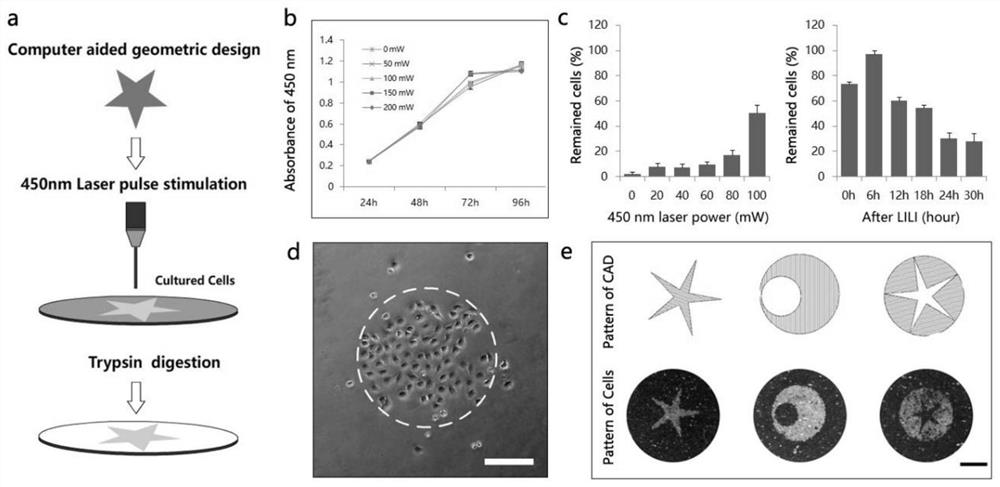 Non-invasive cell patterning method and system based on digitally controlled laser radiation