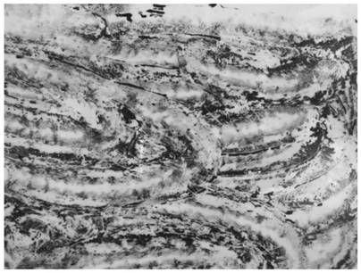 Coating base material for large-scale preparation of graphene oxide film and prepared graphene oxide film