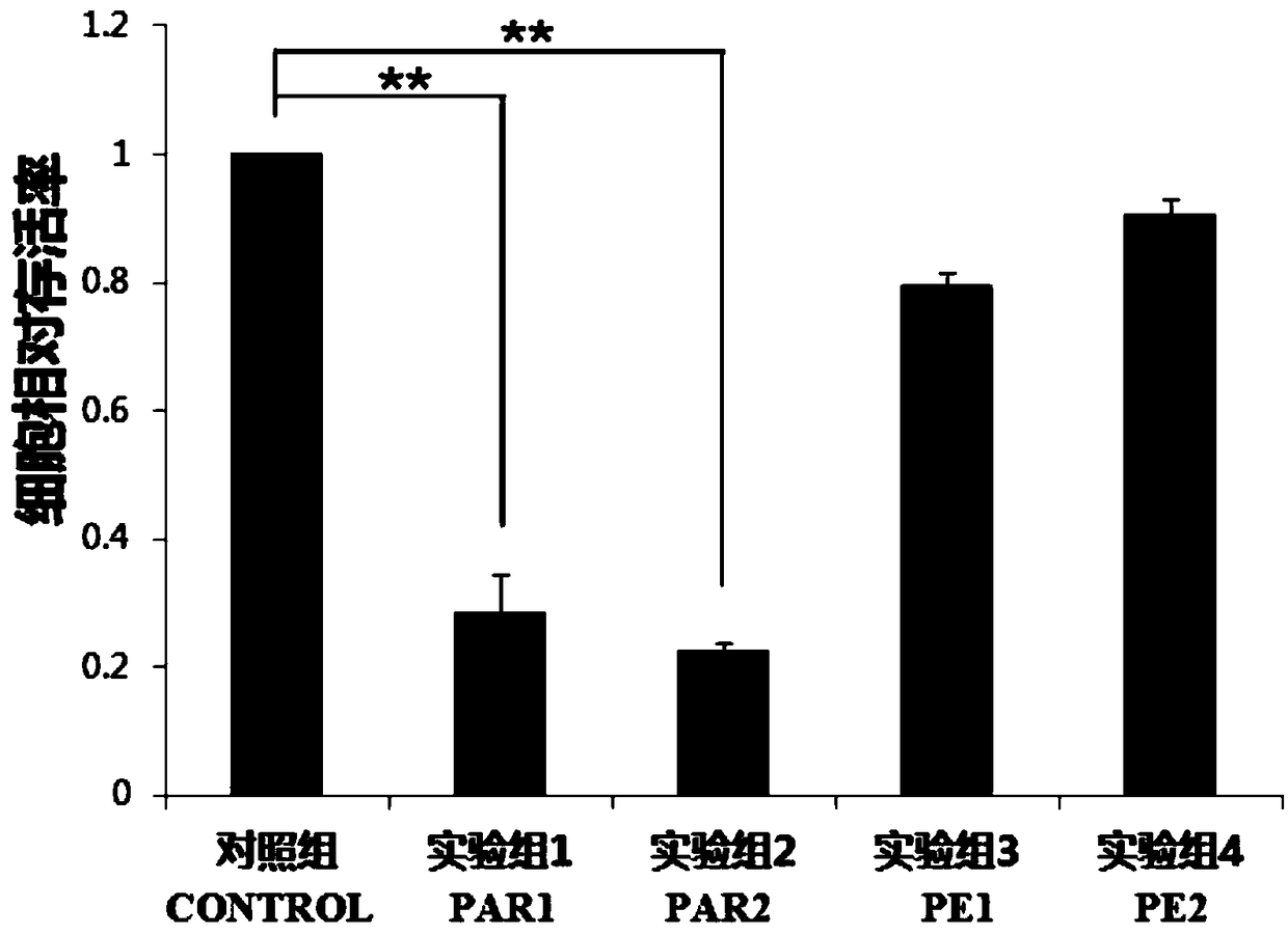 Small interfering ribonucleic acid sequence for inhibiting expression of human pard6a gene and its application in resisting proliferation and metastasis of ovarian cancer