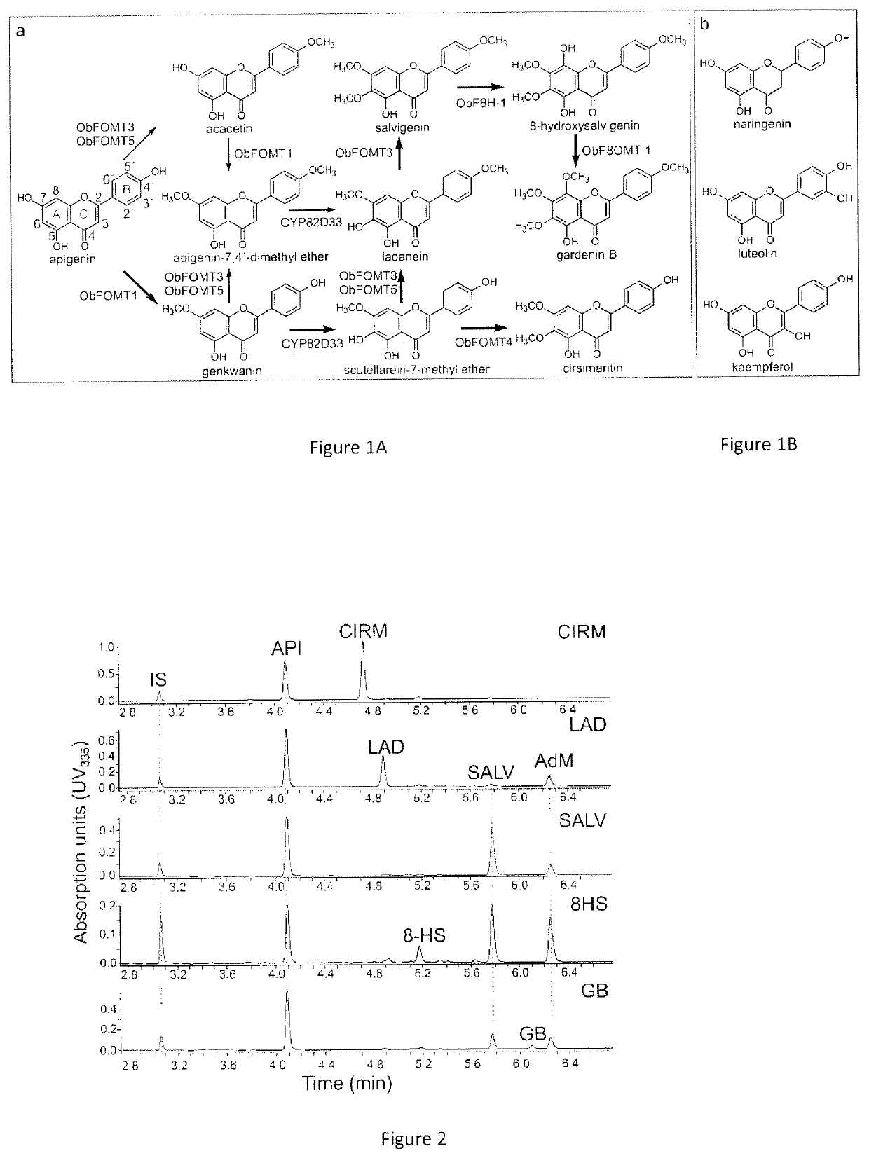 Production of hydroxylated and methoxylated flavonoids in yeast by expression specific enzymes
