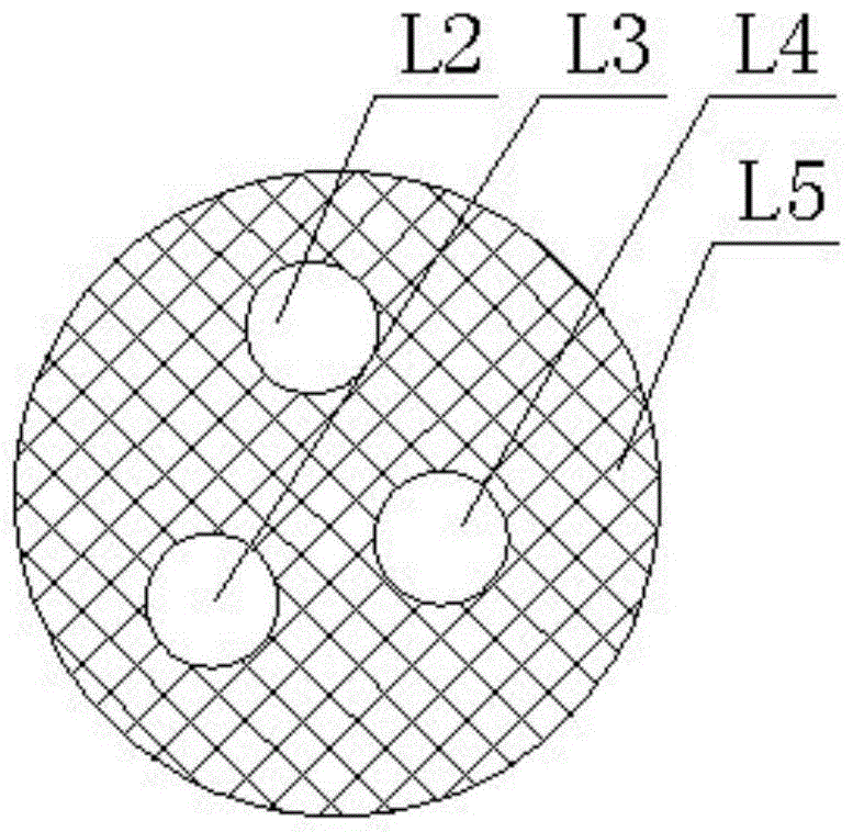 Calligraphy and painting anti-mildew solidification phase temperature and atmosphere storage