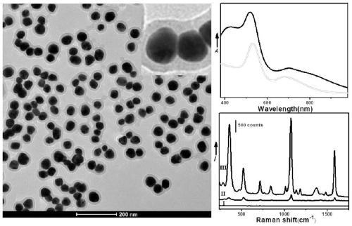 Gold and silver hybrid nanoparticles as well as preparation method and application thereof