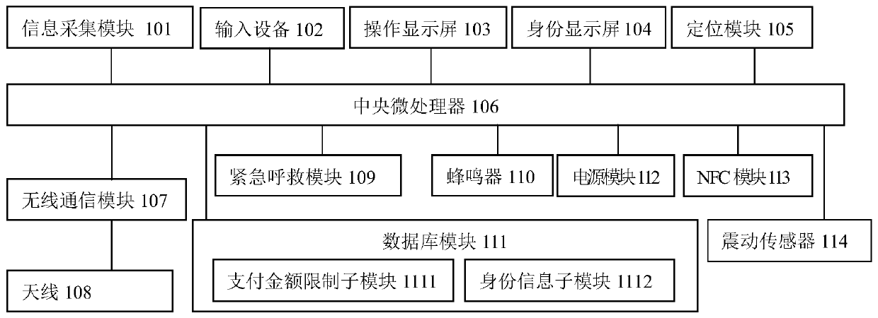 Special electronic payment device for juveniles